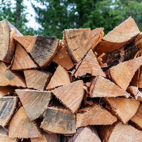 Sezonowanie drewna – czym jest i jak to robić?