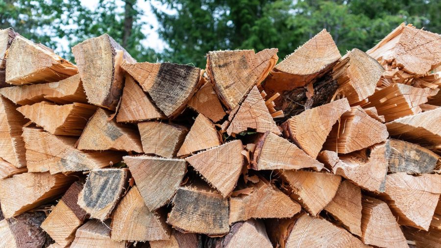 Sezonowanie drewna – czym jest i jak to robić?